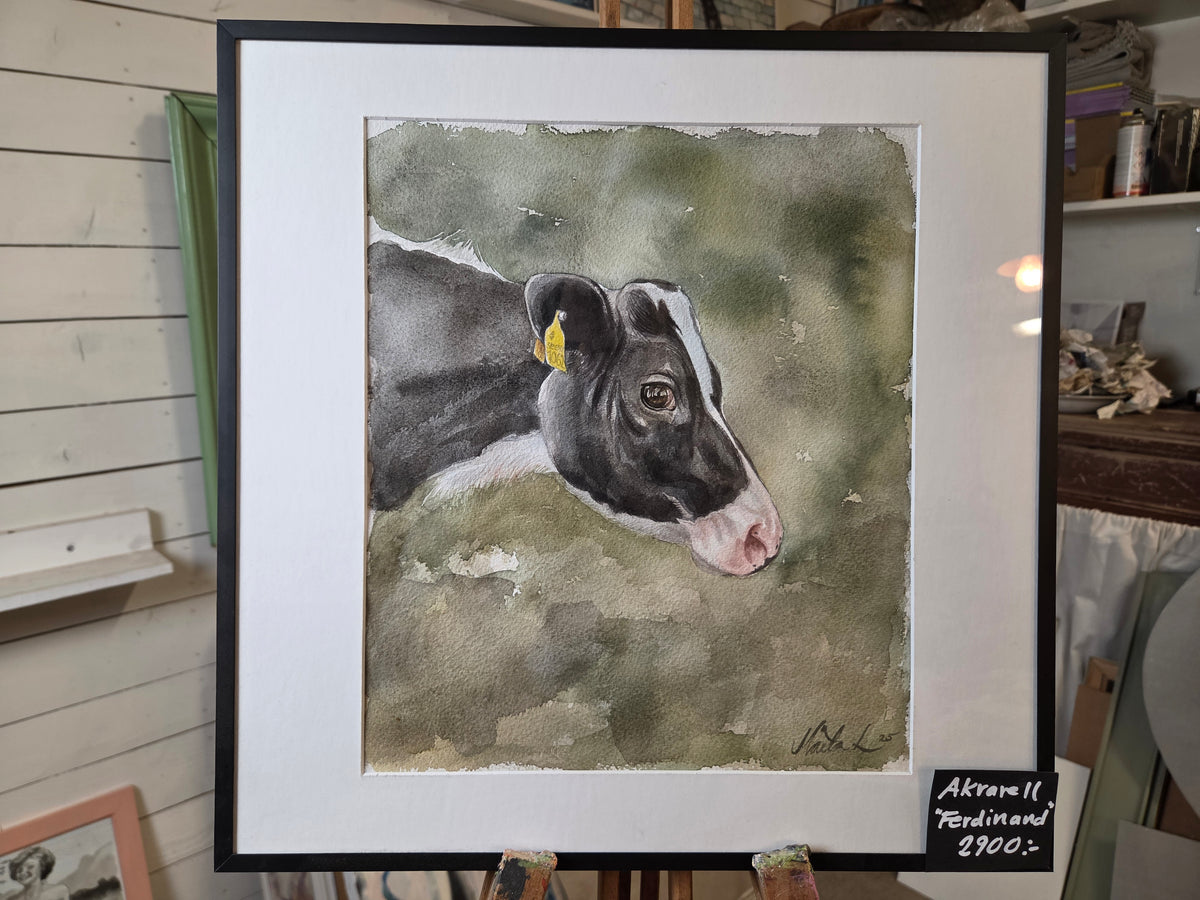 "Ferdinand"