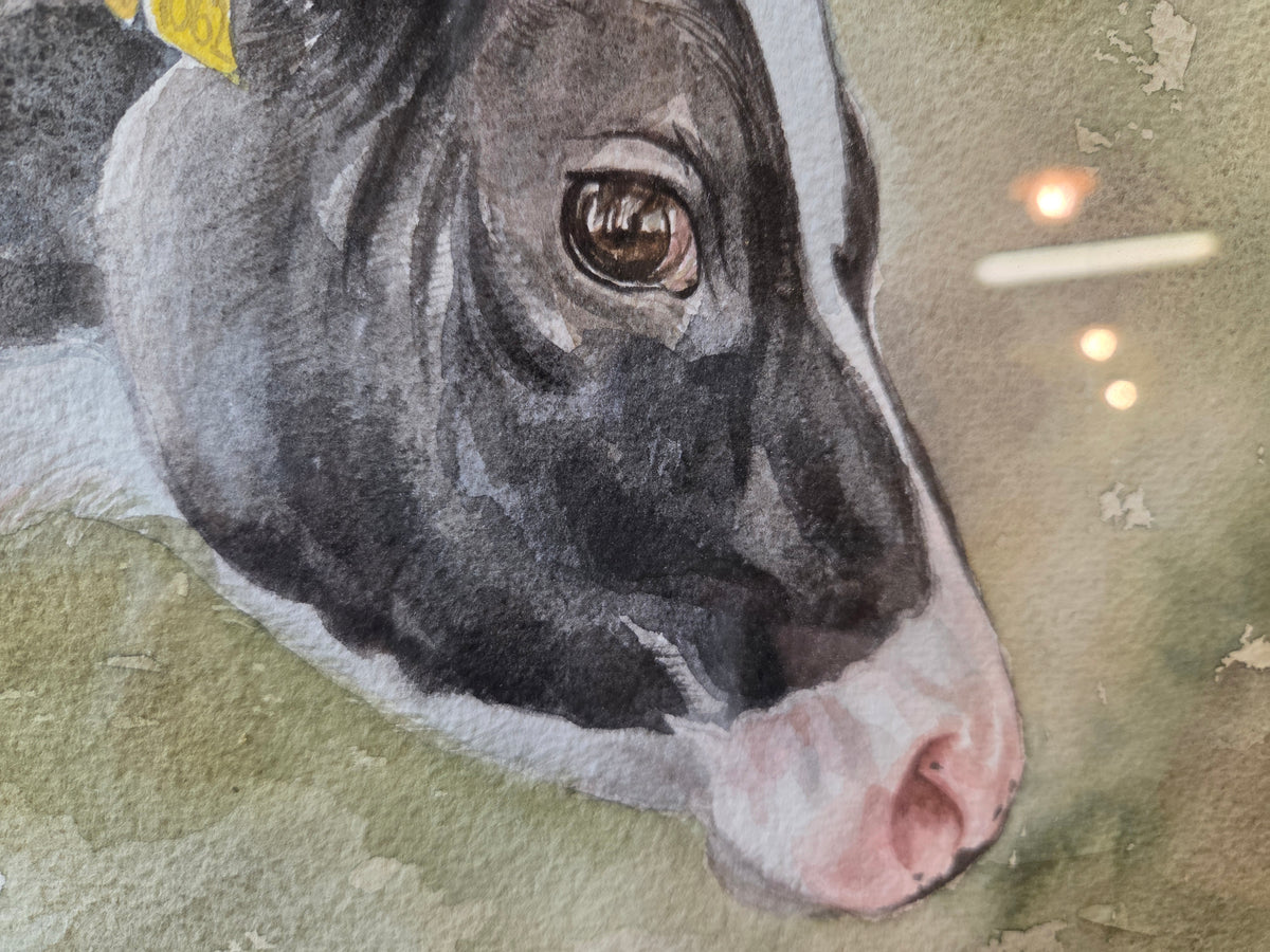 "Ferdinand"