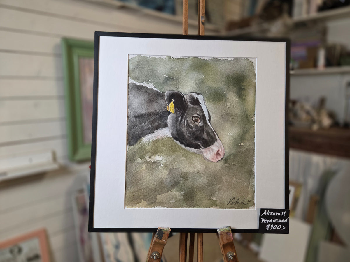 "Ferdinand"