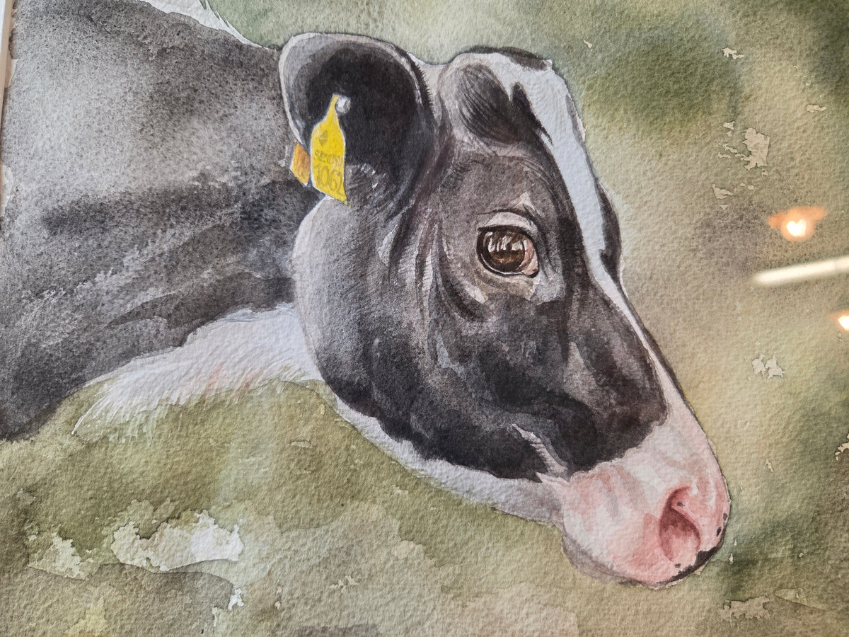 "Ferdinand"